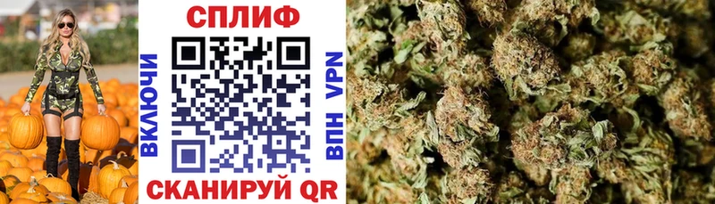 Бошки Шишки SATIVA & INDICA  Пласт 